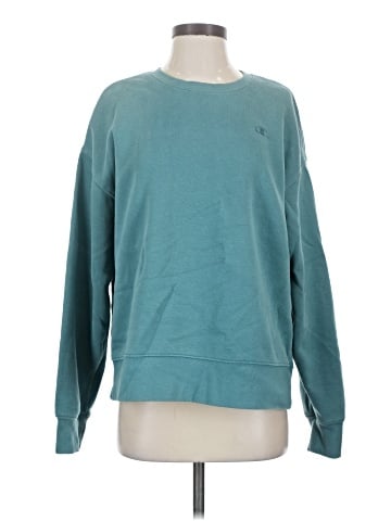 Champion Sweatshirt (view 1)
