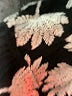 Ark & Co. Black Romper Size M - photo 4