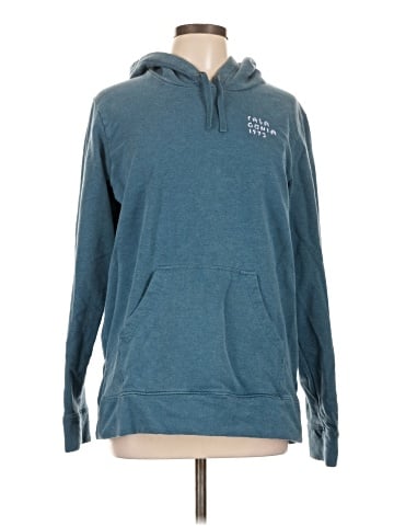 Patagonia Pullover Hoodie (view 1)