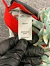 Tea 100% Cotton Green Dress Size 8 - photo 4