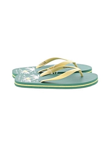 American Eagle Outfitters Flip Flops (view 1)