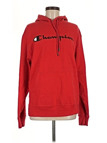 Champion Pullover Hoodie (view 1)