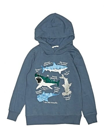 H&M Pullover Hoodie (view 1)