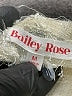 Bailey Rose 100% Polyester Ivory Long Sleeve Top Size M - photo 4
