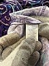 Christopher & Banks Paisley Purple Jacket Size S - photo 7