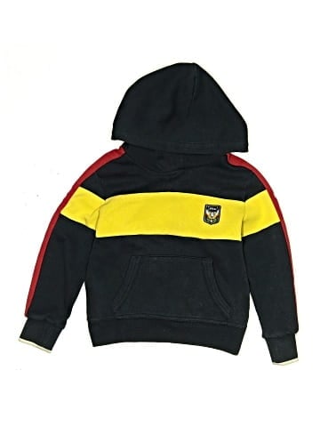 Polo by Ralph Lauren Pullover Hoodie (view 1)