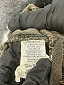 PrAna Gray Cargo Pants Size XS - photo 8