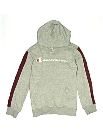 Champion Pullover Hoodie (view 1)