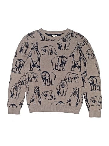 Gymboree Pullover Sweater (view 1)