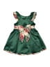 Rare Editions 100% Polyester Green Dress Size 2T - photo 1