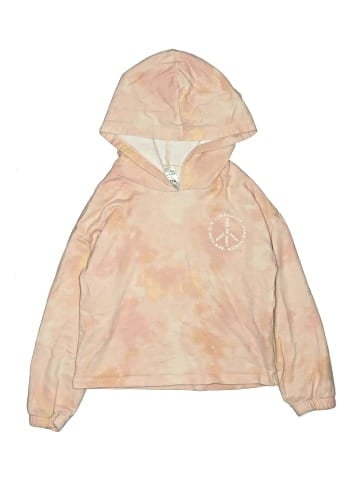 Carter's Pullover Hoodie (view 1)