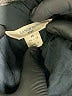 Lands' End 100% Polyester Black Skirt Size 10 - 12 - photo 3