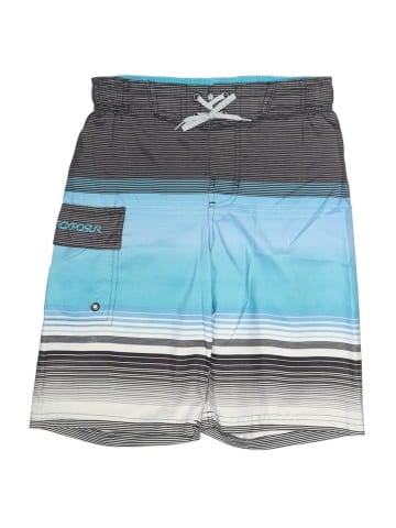 ZeroXposur Board Shorts (view 1)