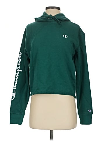 Champion Sweatshirt (view 1)