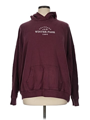 Hollister Pullover Hoodie (view 1)