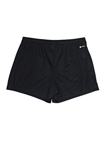 Adidas Athletic Shorts (view 2)