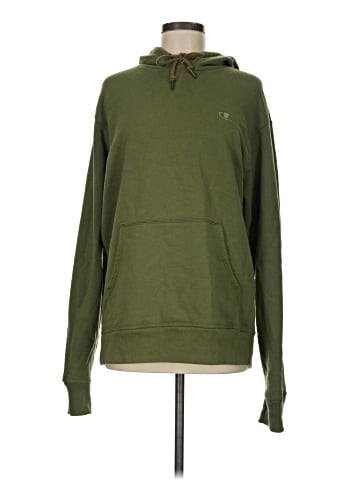 Champion Pullover Hoodie (view 1)