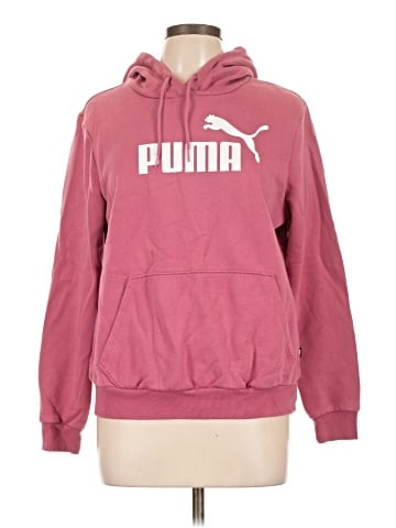 Puma Pullover Hoodie (view 1)