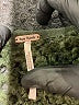 Free People Green Cardigan Size XS - photo 7
