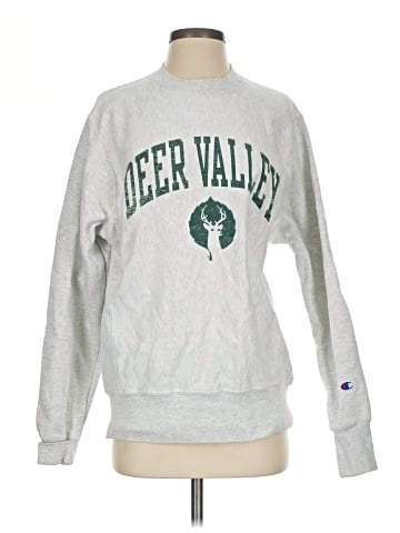 Champion Sweatshirt (view 1)