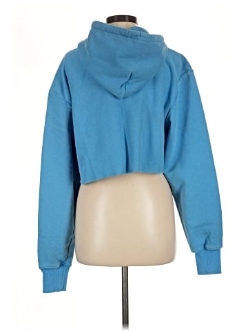 Champion Sweatshirt (view 2)