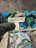 Madison Paisley Teal Shorts Size 8 - photo 3