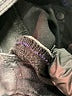 Rock & Republic Black Jeans Size 10 - photo 9
