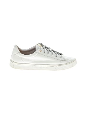 Sperry Top Sider Sneakers (view 1)