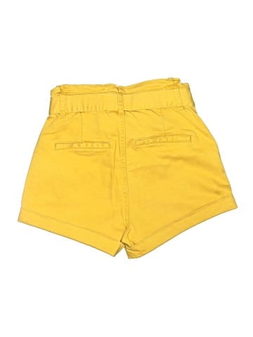 Express Shorts (view 2)