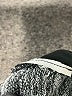 Old Navy Gray Long Sleeve Top Size L - photo 5
