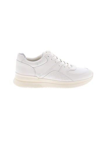 Everlane Sneakers (view 1)