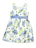 Gymboree Blue Dress Size 5 - photo 2