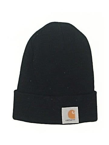 Carhartt Beanie (view 1)