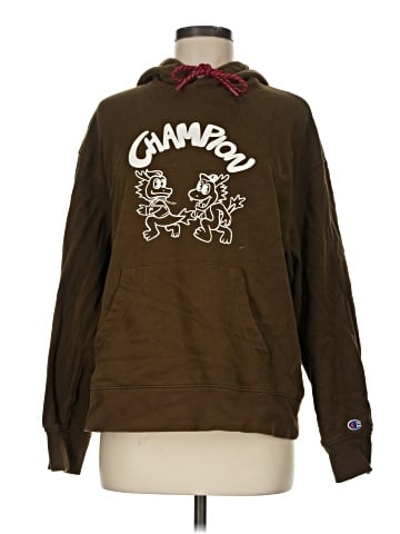 Champion Pullover Hoodie (view 1)