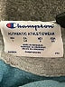 Champion Teal Pullover Hoodie Size L - photo 7