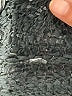 The Fisher Project Black Pullover Sweater Size XS - photo 8