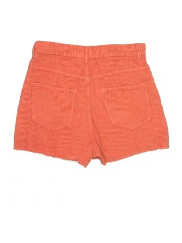 BDG Denim Shorts (view 2)