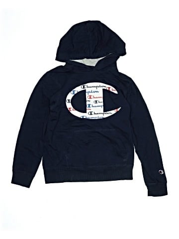 Champion Pullover Hoodie (view 1)