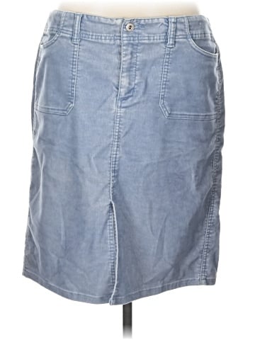 Express Denim Skirt (view 1)