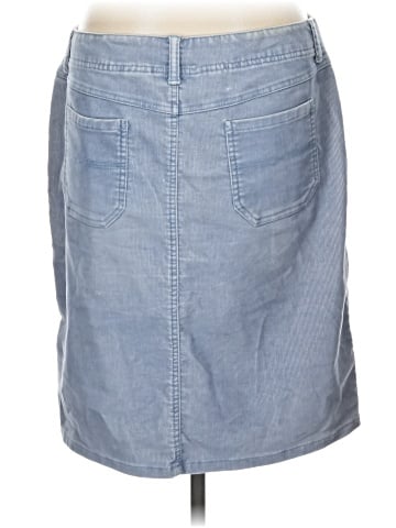 Express Denim Skirt (view 2)