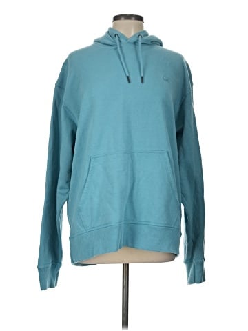Champion Pullover Hoodie (view 1)