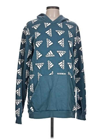 Adidas Pullover Hoodie (view 1)