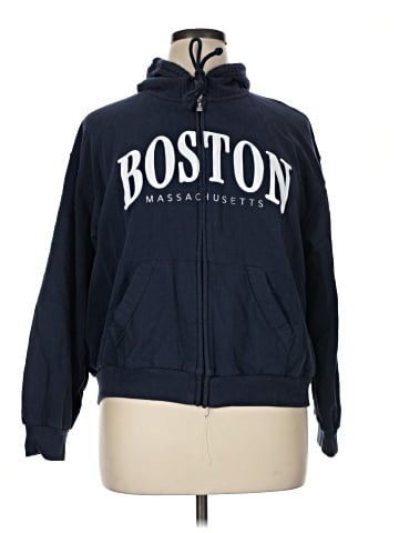 Hollister Zip Up Hoodie (view 1)