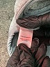 G.H. Bass & Co. 100% Polyester Gray Vest Size M - photo 7