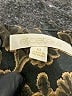 Etcetera Paisley Brown Formal Skirt Size 8 - photo 4