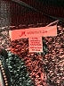JM Collection Gray Poncho Size L - photo 4