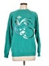 Hanes Graphic Teal Sweatshirt Size L - photo 1