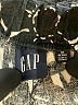 Gap Print Black Shorts Size Med Petite - photo 3