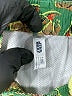 Gap X Star Wars Paisley Green Board Shorts Size 4T - photo 3