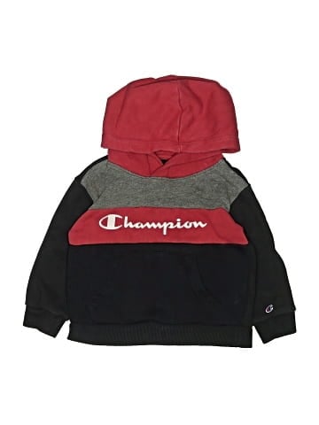 Champion Pullover Hoodie (view 1)